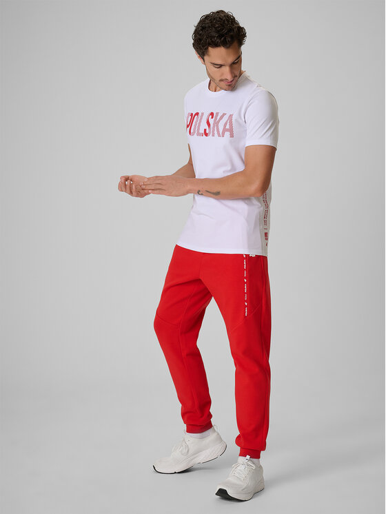 4F 4F T-Shirt STREFA KIBICA Biały Regular Fit