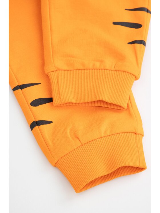 Coccodrillo Coccodrillo Teplákové kalhoty WC5120101TBN-006 Oranžová Regular Fit