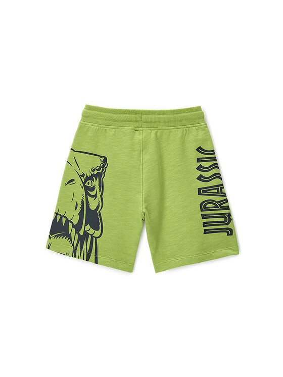 Original Marines Original Marines Szorty sportowe DFPV2267CM Zielony Regular Fit