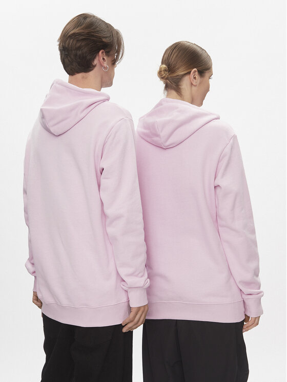 Reebok Felpa Classics Skateboard Hoodie HS7144 Rosa Regular Fit Modivo