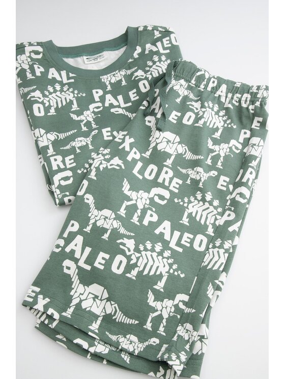 Coccodrillo Coccodrillo Piżama WC5448220PJS-012 Zielony Regular Fit