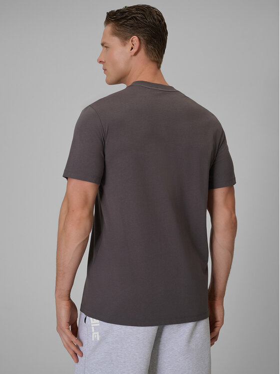 4F 4F T-Shirt CITY Szary Regular Fit