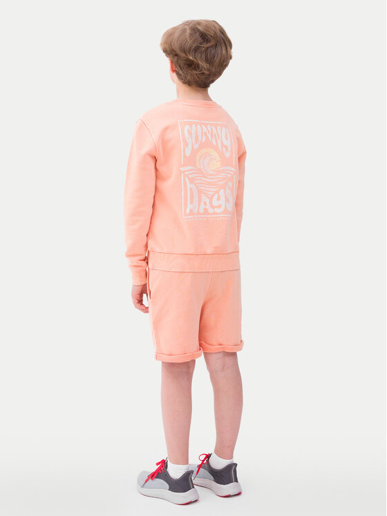 4F 4F Športne kratke hlače 4FJWSS24TSHOM279 Oranžna Regular Fit