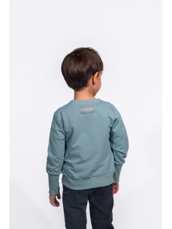 MANDRAGORA MANDRAGORA Felpa fantastic Verde Regular Fit