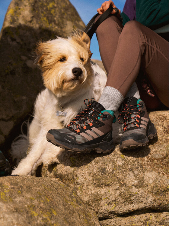 adidas adidas Turistiniai batai Terrex Skychaser AX5 Mid GORE-TEX CLIMAWARM+ JH7807 Ruda