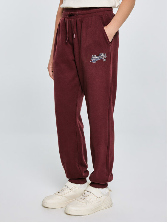 BIG STAR BIG STAR Spodnie dresowe RUBILIAP Bordowy Basic Fit