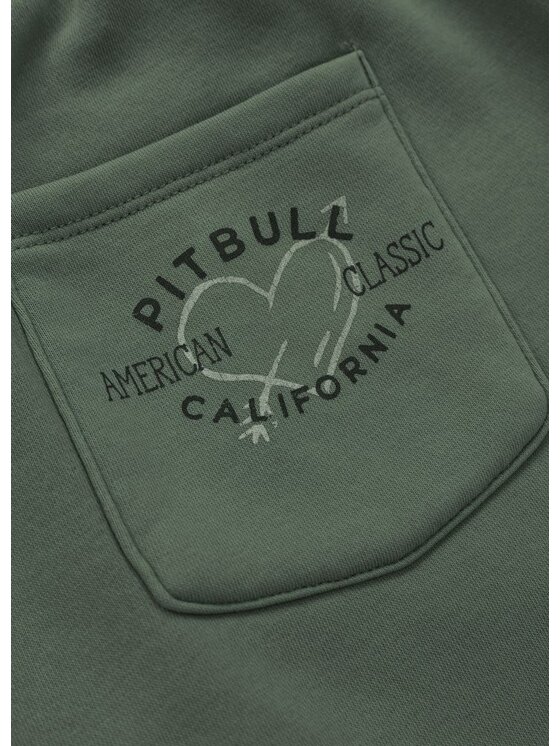 PITBULL PITBULL Szorty MANZANITA HEART Zielony Regular Fit