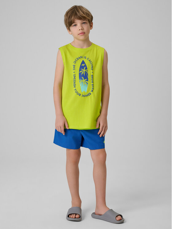 4F 4F Szorty sportowe BEACHSIDE CHILL Zielony Regular Fit
