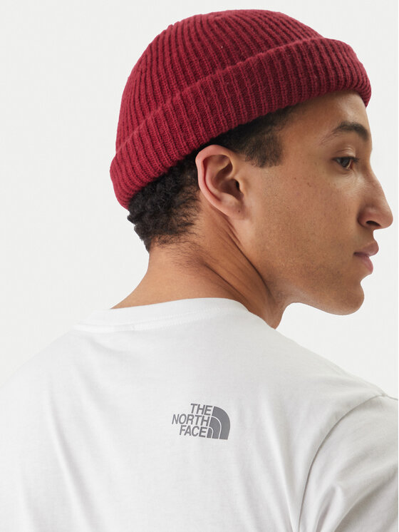 The North Face The North Face T-krekls Mountain Line NF0A8GUX Balts Regular Fit