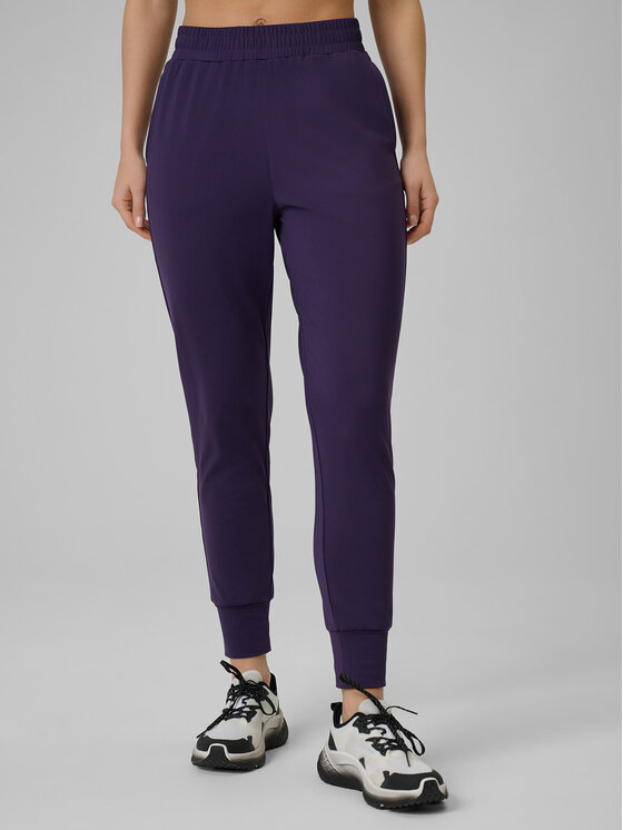 4F 4F Spodnie dresowe MULTI ACTIVE Fioletowy Regular Fit