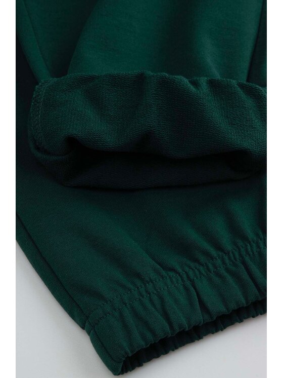 Coccodrillo Coccodrillo Spodnie dresowe WC6120101VBA-011 Zielony Regular Fit
