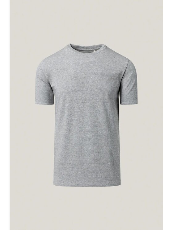 Próchnik Próchnik T-Shirt PM10 TS073226000004 Szary Regular Fit