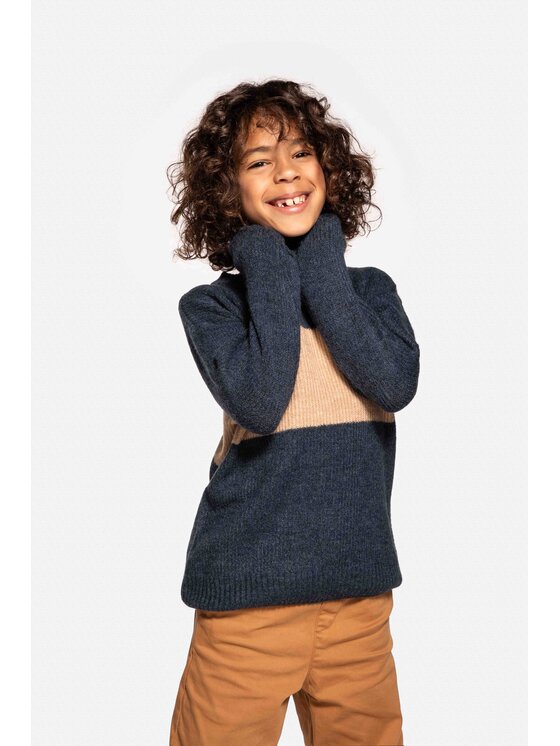Coccodrillo Coccodrillo Sweter ZC3172101ATJ-015 Granatowy Regular Fit