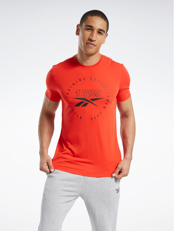 Reebok Graphic Series Speedwick Tee FU3147 Slim