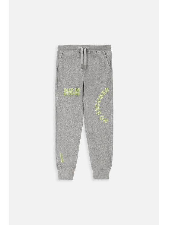 Lemon Explore Lemon Explore Spodnie dresowe WL4120107CWB-019 Szary Regular Fit