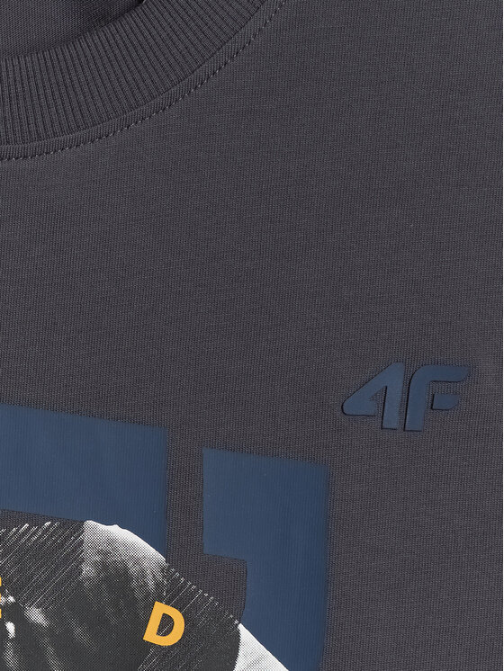 4F 4F T-Shirt casual Szary ciemny Regular Fit