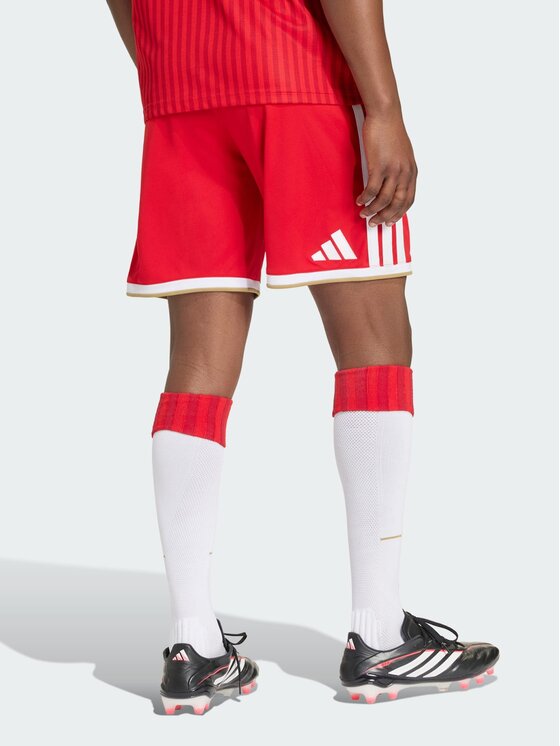 adidas adidas Szorty sportowe 168822 Czerwony Regular Fit