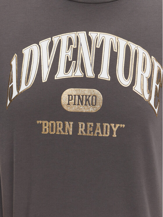 PINKO PINKO Тишърт Niamey 104604 A2CS Сив Regular Fit