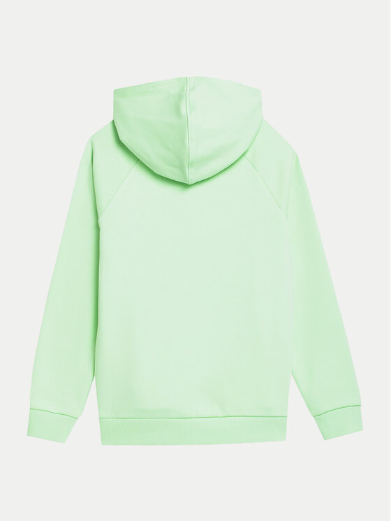 4F 4F Felpa 4FJWSS24TSWSM0925 Verde Regular Fit