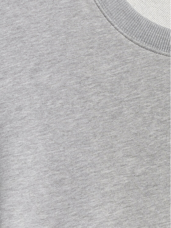 4F 4F Bluza NOS Szary jasny Regular Fit