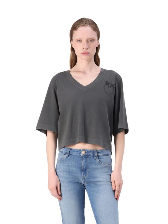 PINKO PINKO T-shirt Suez t-shirt jersey con banda Grigio Large Fit