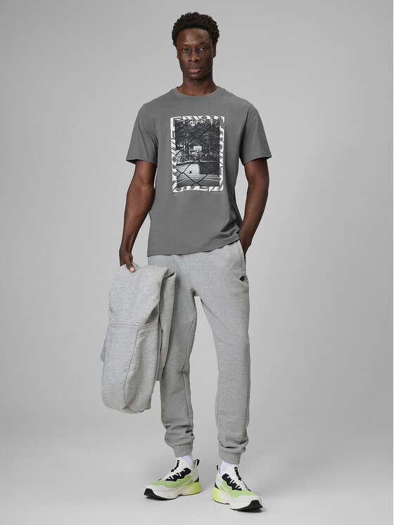 4F 4F T-Shirt FLUID EXPRESSIONS Szary Regular Fit