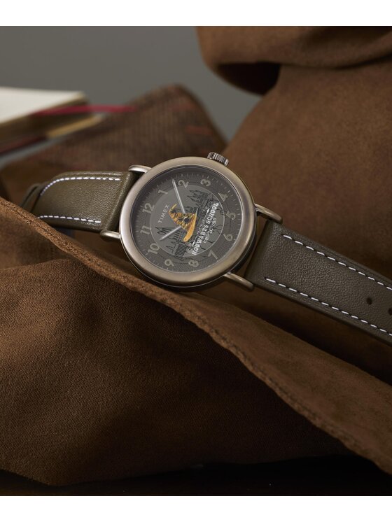 Timex Timex Hodinky TW2Y77000 Hnedá