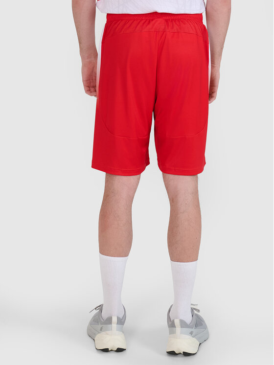 4F 4F Szorty sportowe TEAMWEAR Kolorowy Regular Fit