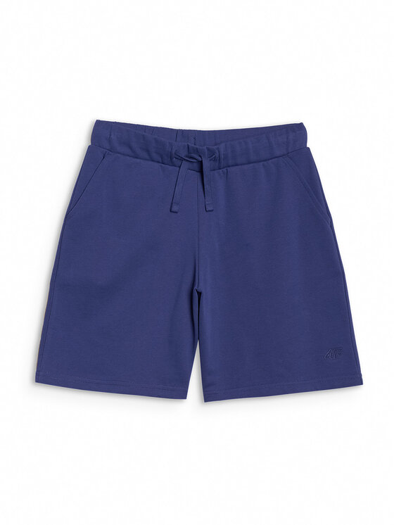 4F 4F Spodnie dresowe BASIC+ Niebieski Oversize