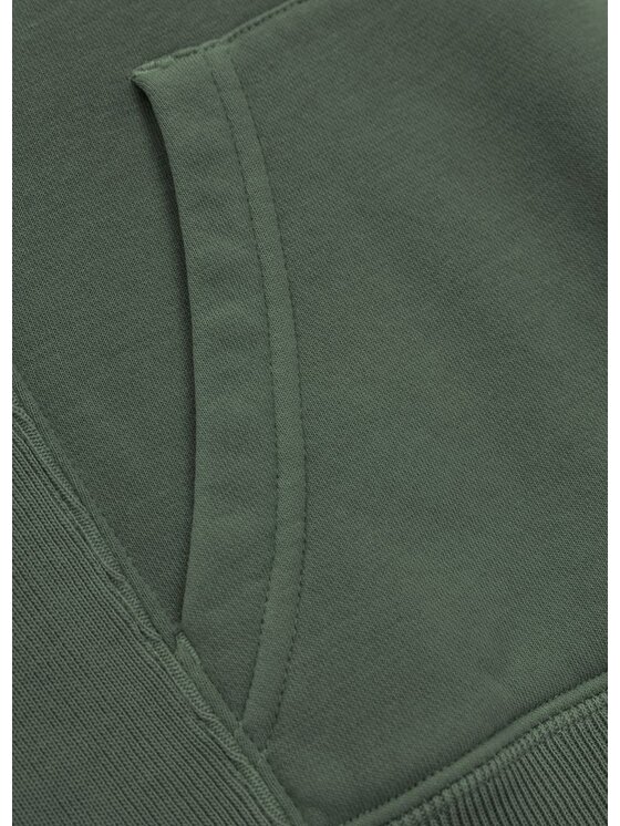 PITBULL PITBULL Bluza Washed Manzanita Zielony Regular Fit