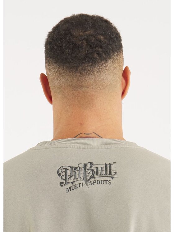 PITBULL PITBULL Bluza MULTISPORT Szary Regular Fit