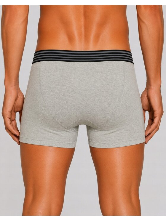 Wrangler Wrangler Bokserki Jarman 3 Pack Cotton Elastane Trunks Szary