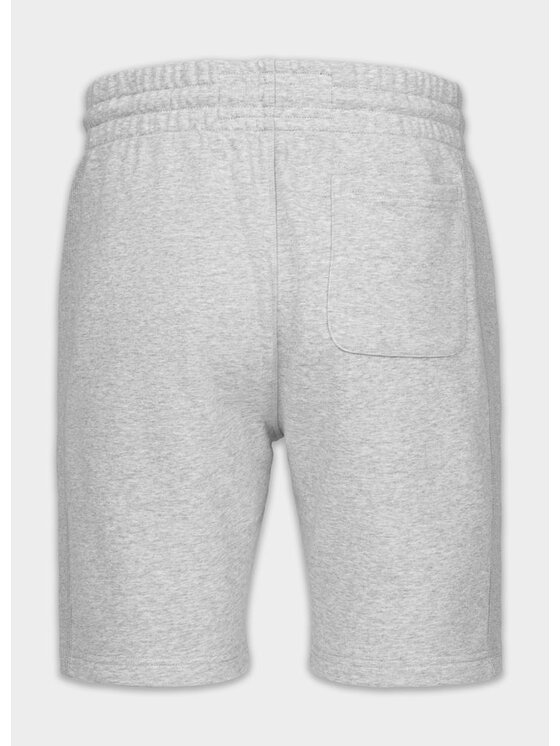 PITBULL PITBULL Szorty sportowe BADGER Szary Regular Fit