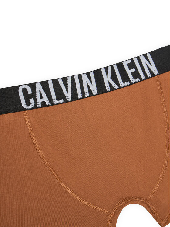 Calvin Klein Underwear Calvin Klein Underwear Set od 2 para bokserica B70B700509 Šarena
