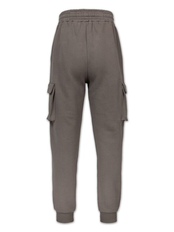 PITBULL PITBULL Spodnie dresowe CYPRESS SPORT Szary Regular Fit