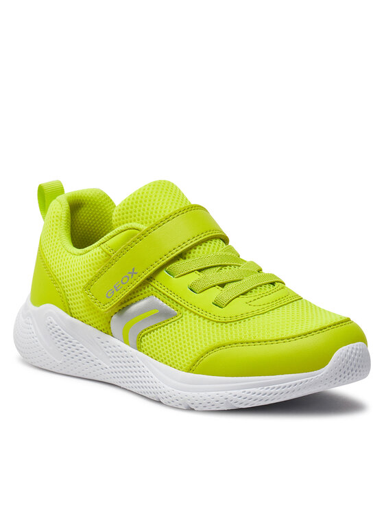 Geox shops decathl s