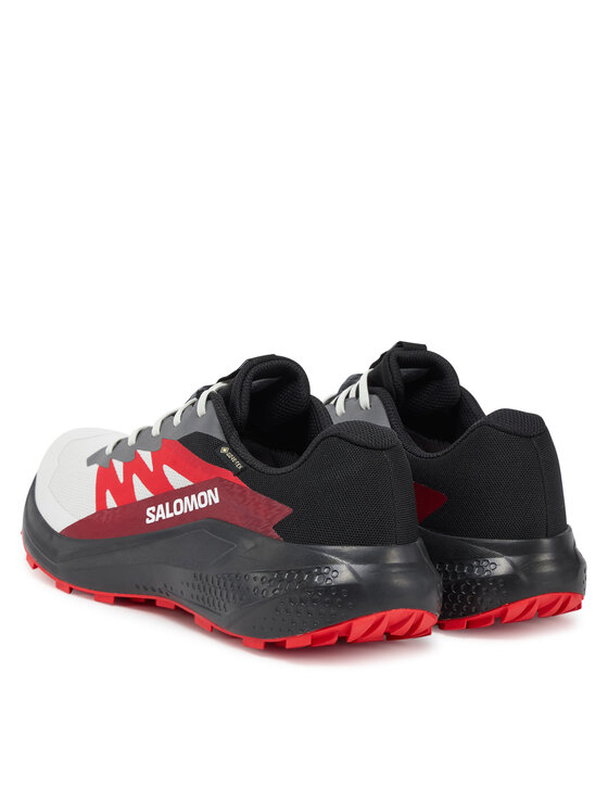Salomon Salomon Bėgimo batai Alphaglide Gore-Tex L47802200 Pilka