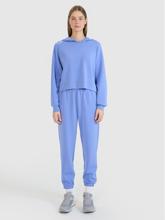 4F 4F Bluza COMMON GROUND Niebieski Regular Fit