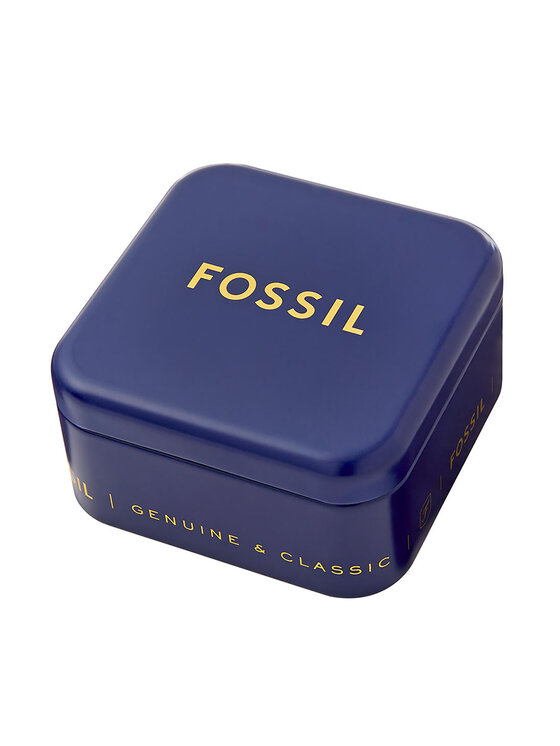 Fossil Fossil Schmuckset Halskette und Ohrringe Nk Er Glitz Set JF04815SET Goldfarben