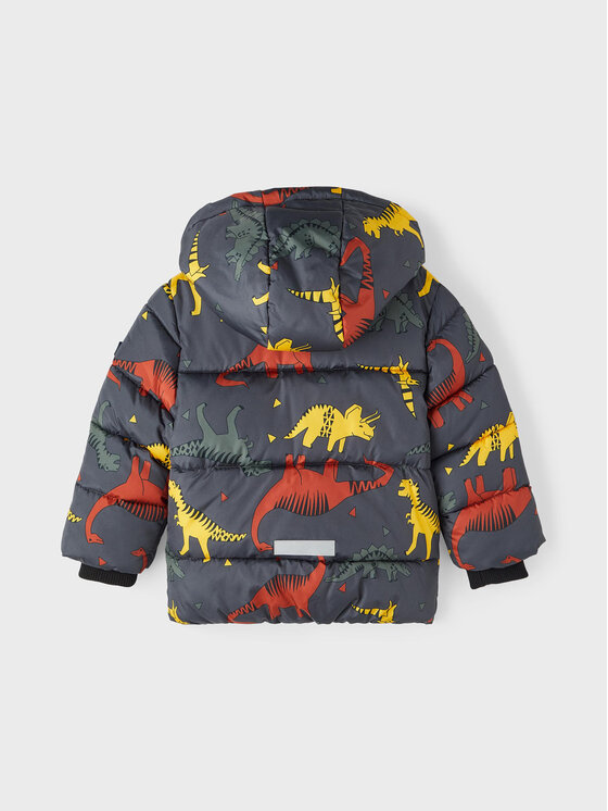 NAME IT NAME IT Kurtka zimowa 13218508 Kolorowy Regular Fit