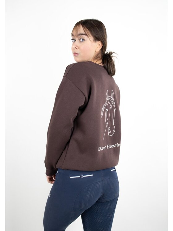 DKaren Sport DKaren Sport Bluza EQ001 Brązowy Classic Fit