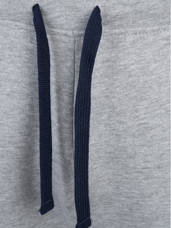 North Sails North Sails Pantaloni di tessuto 90 3204 000 | Sweatpant W Grigio Regular Fit