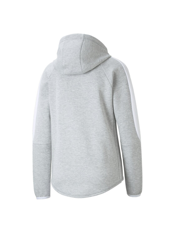Puma Puma Bluza 847073 Szary Regular Fit