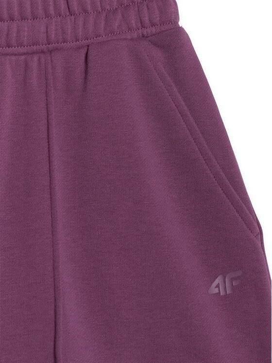 4F 4F Szorty sportowe SPORTS CLUB Bordowy Regular Fit
