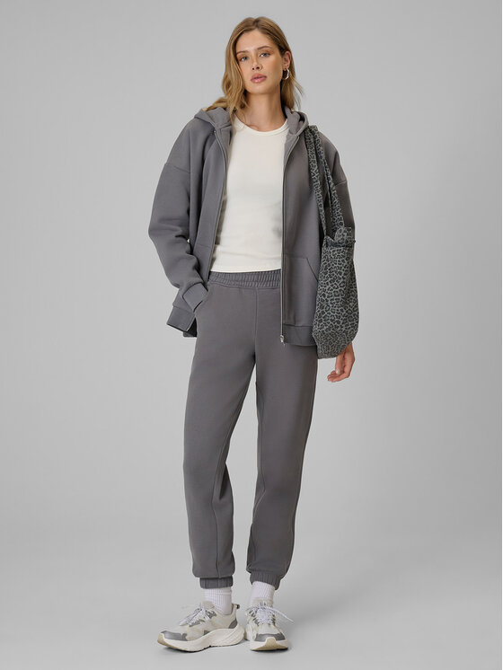 4F 4F Spodnie dresowe BASIC+ Szary Regular Fit