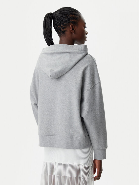 PINKO PINKO Sweatshirt 104623 A2F9 I42 Grau Regular Fit