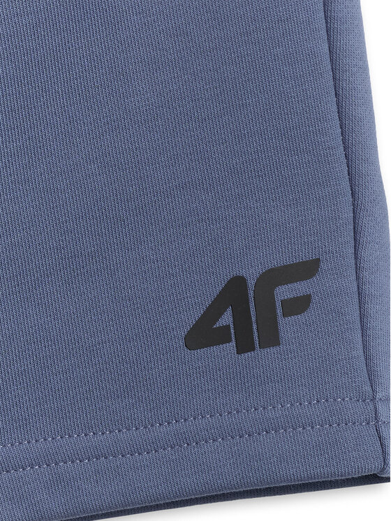 4F 4F Szorty sportowe BASIC+ Regular Fit