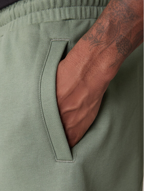 EA7 Emporio Armani EA7 Emporio Armani Sportshorts 7M001491 AF17787 U7235 Grün Regular Fit