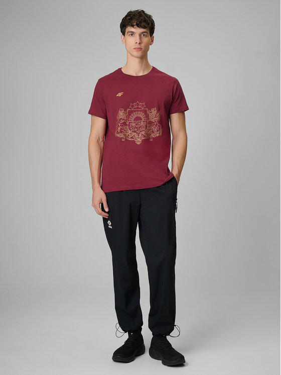 4F 4F T-Shirt TEAMWEAR Czerwony Regular Fit