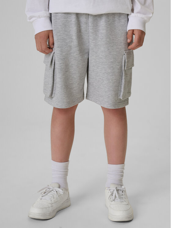 4F 4F Szorty sportowe COMMUNITY SPORTS Szary Regular Fit